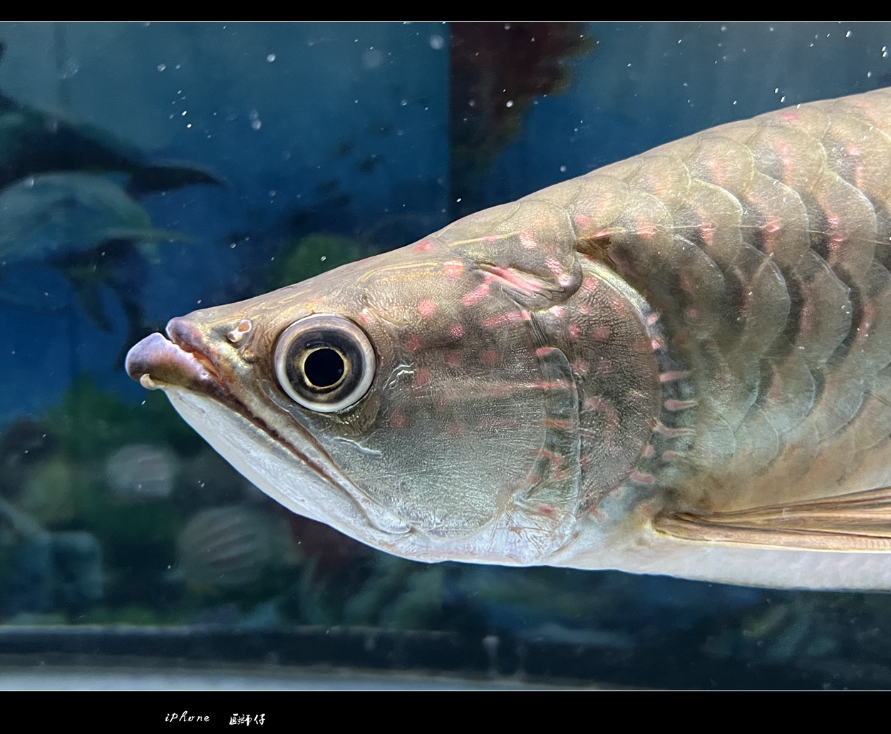 WeChat Image_20221001192934_����.jpg