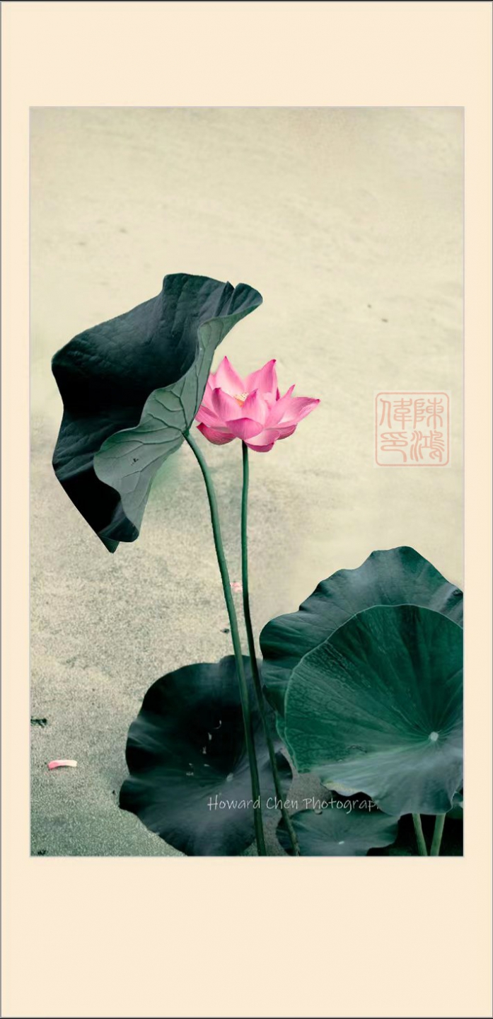 mmexport1659192236707 (1).jpg