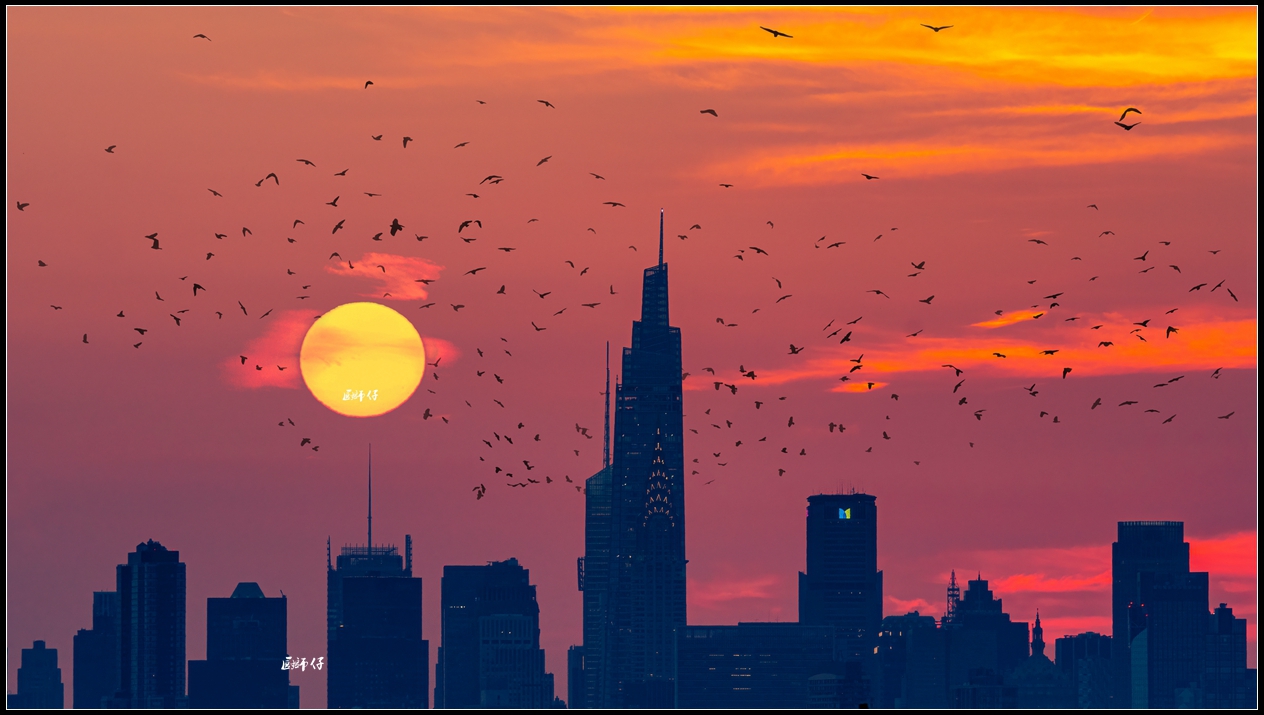 DSC_6852a (1)_����_����.jpg