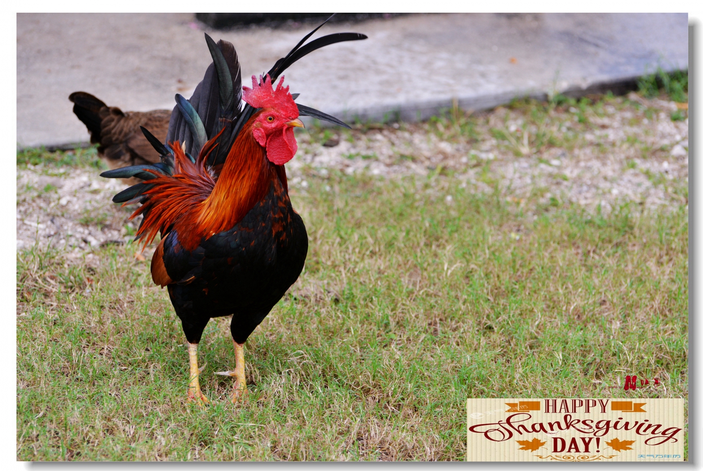 02 (390)_����_����.jpg