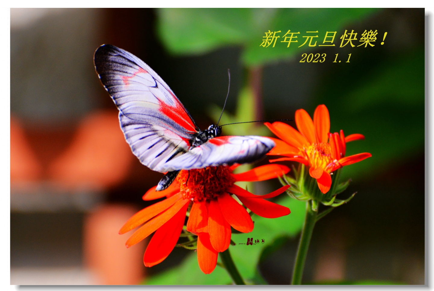 02 (297)_����.jpg