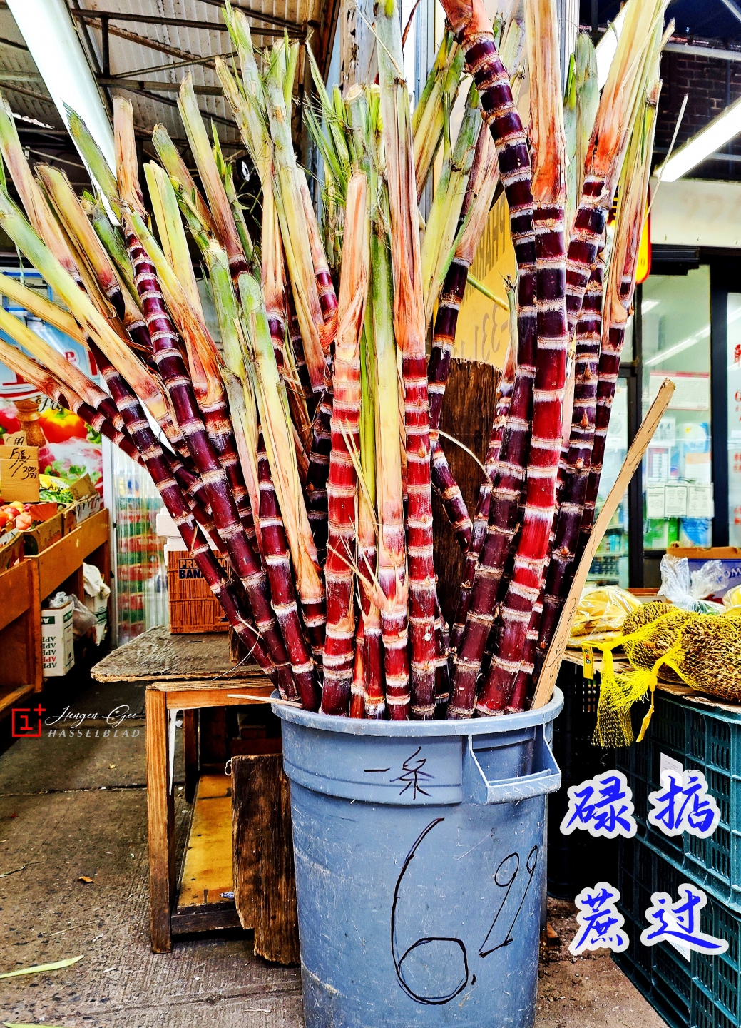 IMG_20230111_143927 (1)_����.jpg