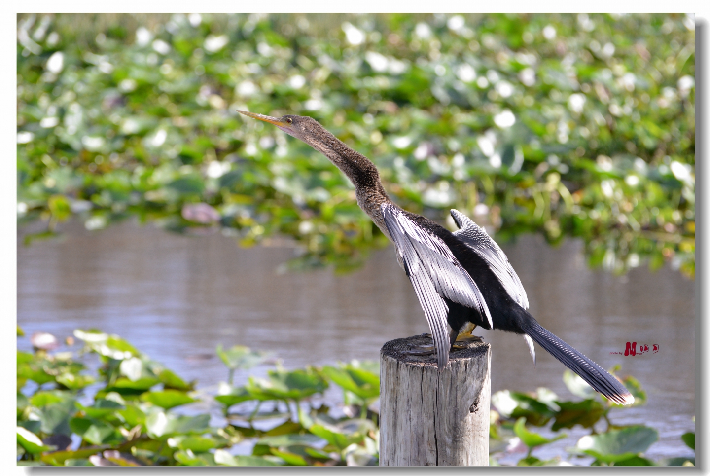 02 (333)_����.jpg