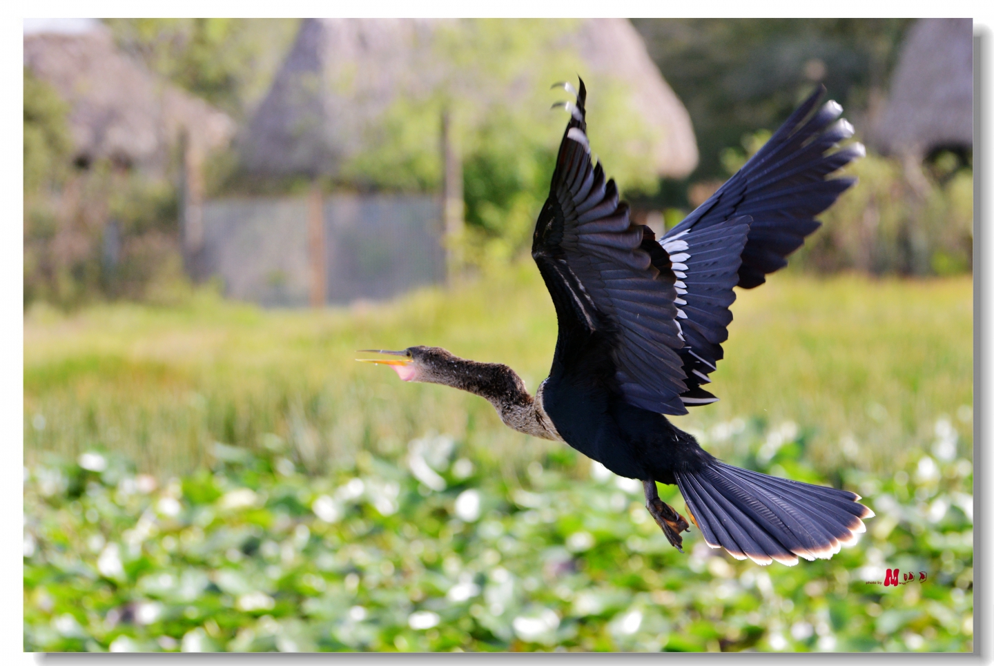 02 (334)_����_����.jpg