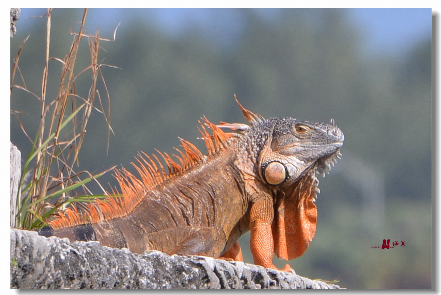 02 (86)_����.jpg