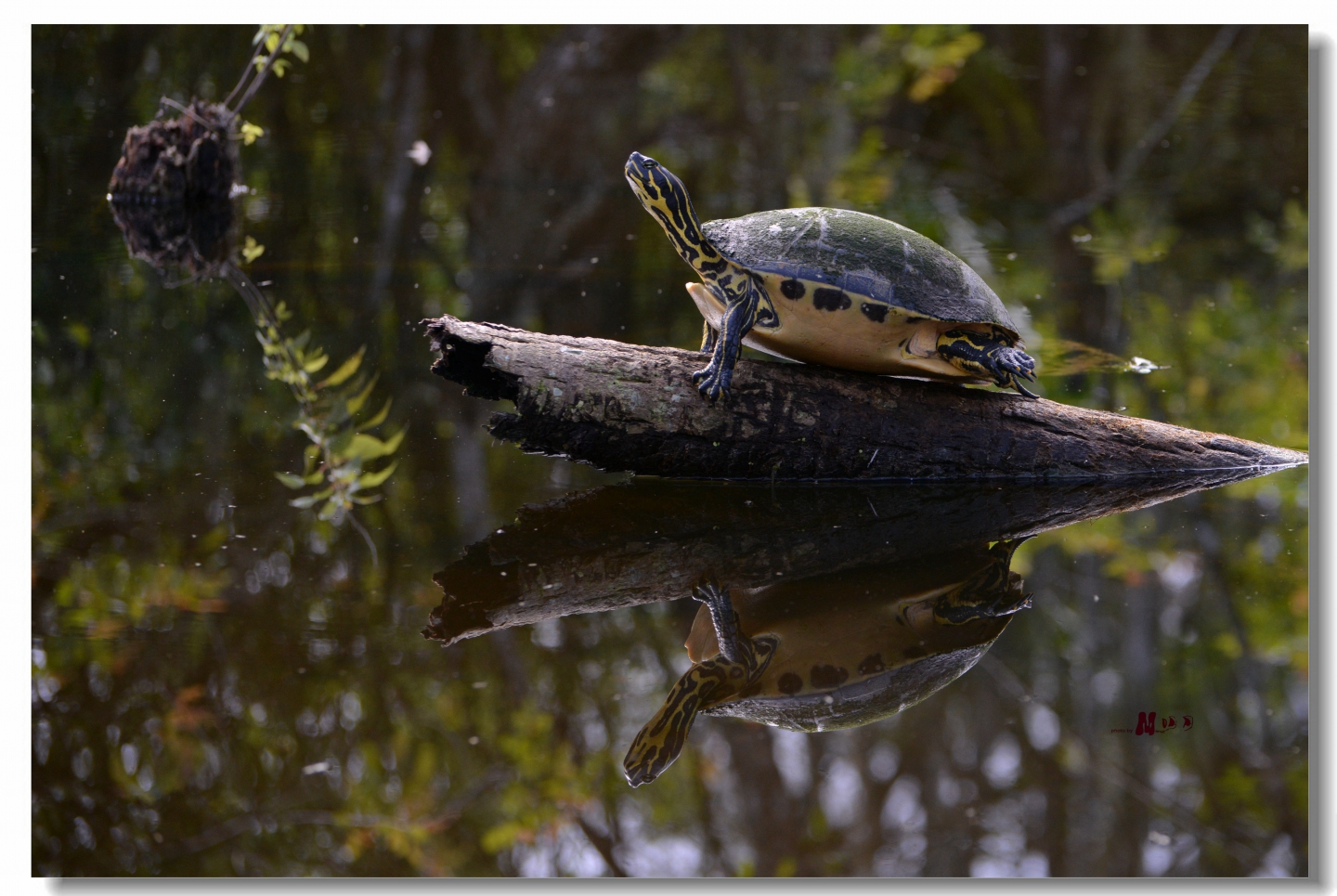 02 (340)_����.jpg