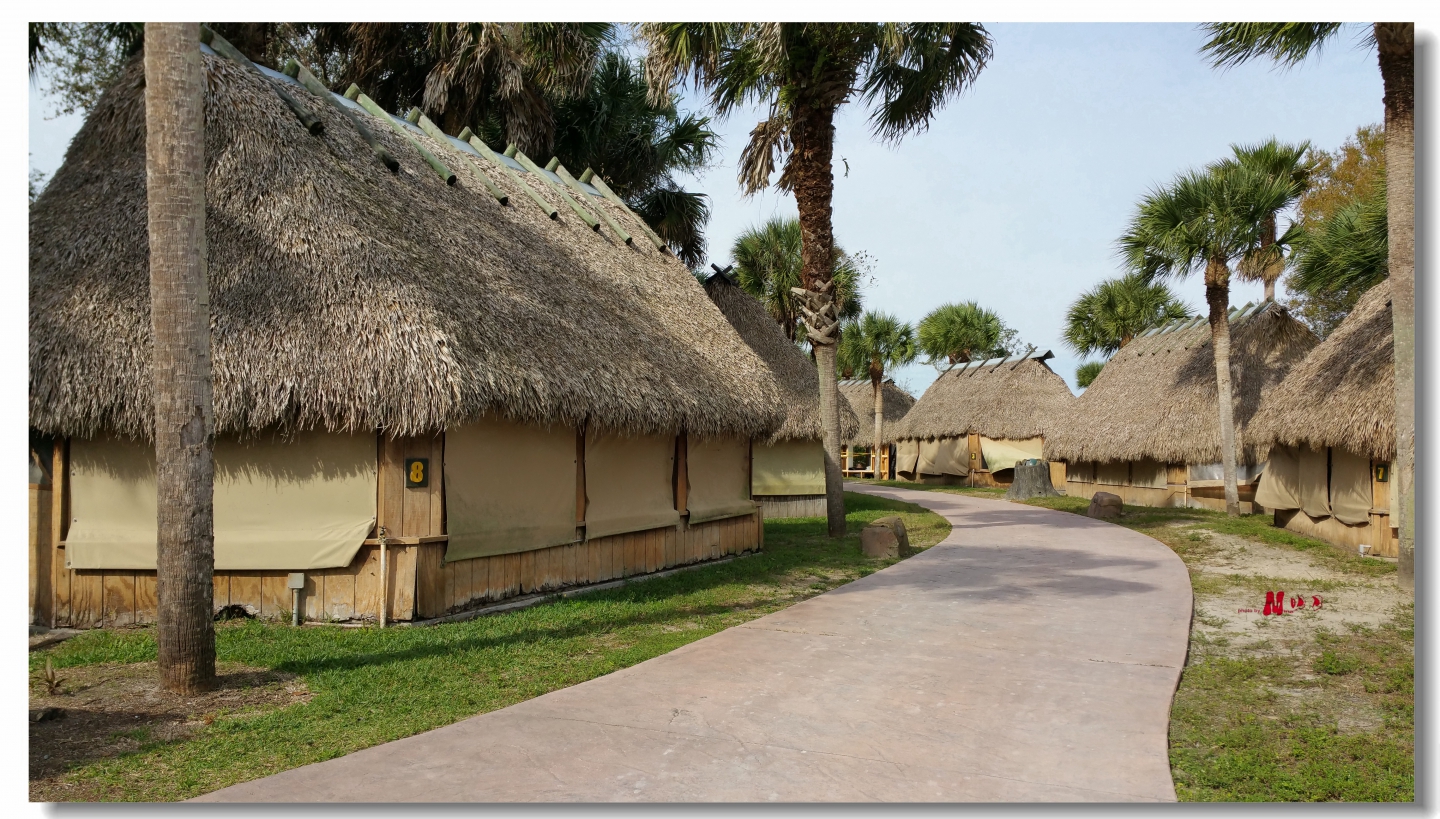 02 (142)_����.jpg