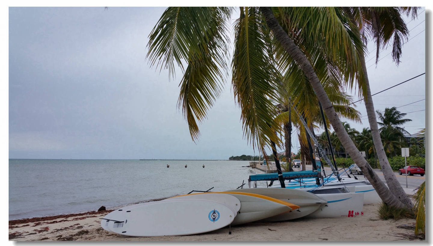 02 (158)_����.jpg