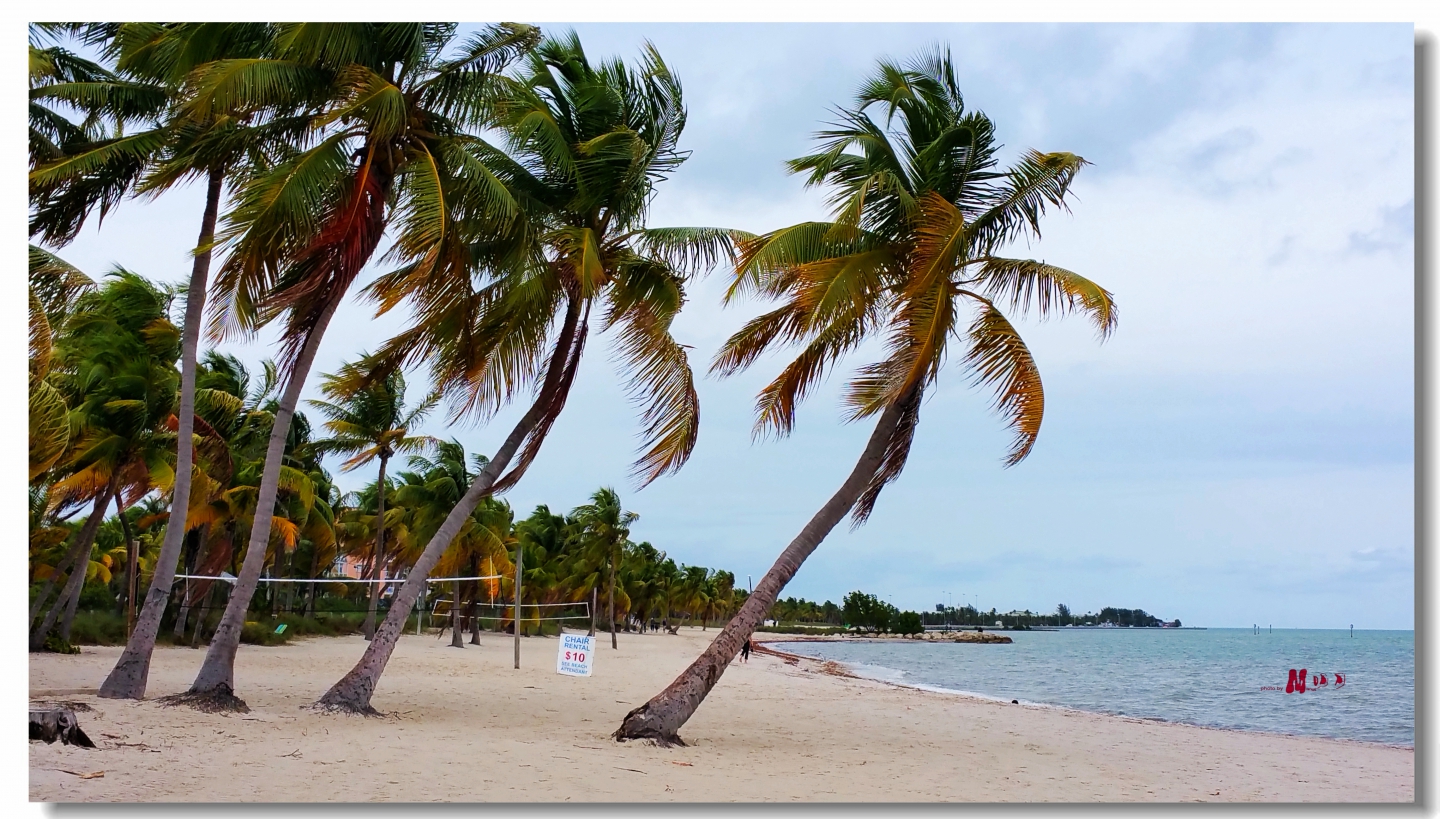 02 (161)_����.jpg