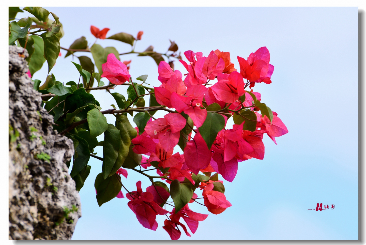 02 (87)_����.jpg