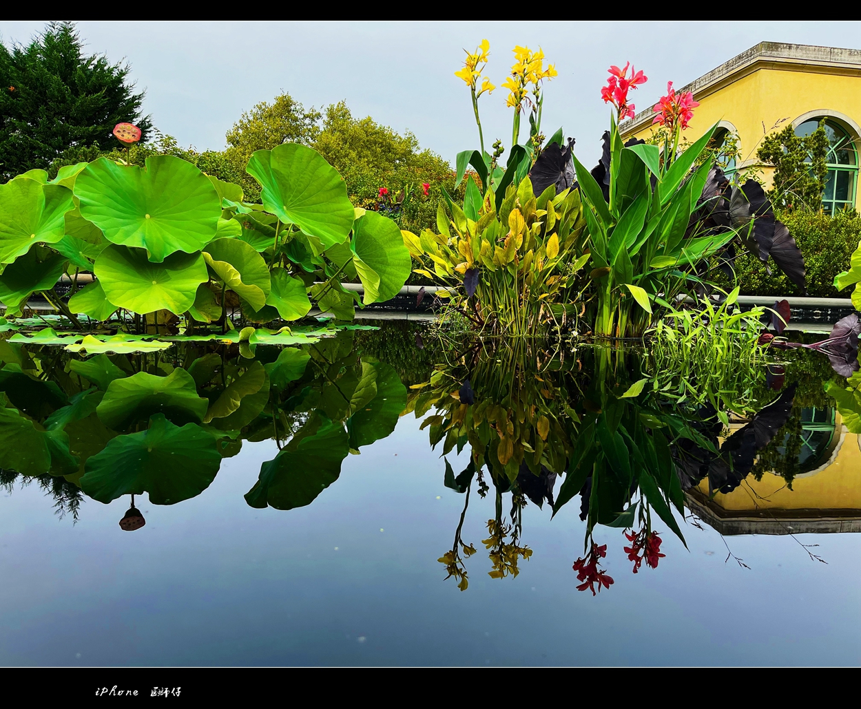 WeChat Image_20221001192921_����.jpg