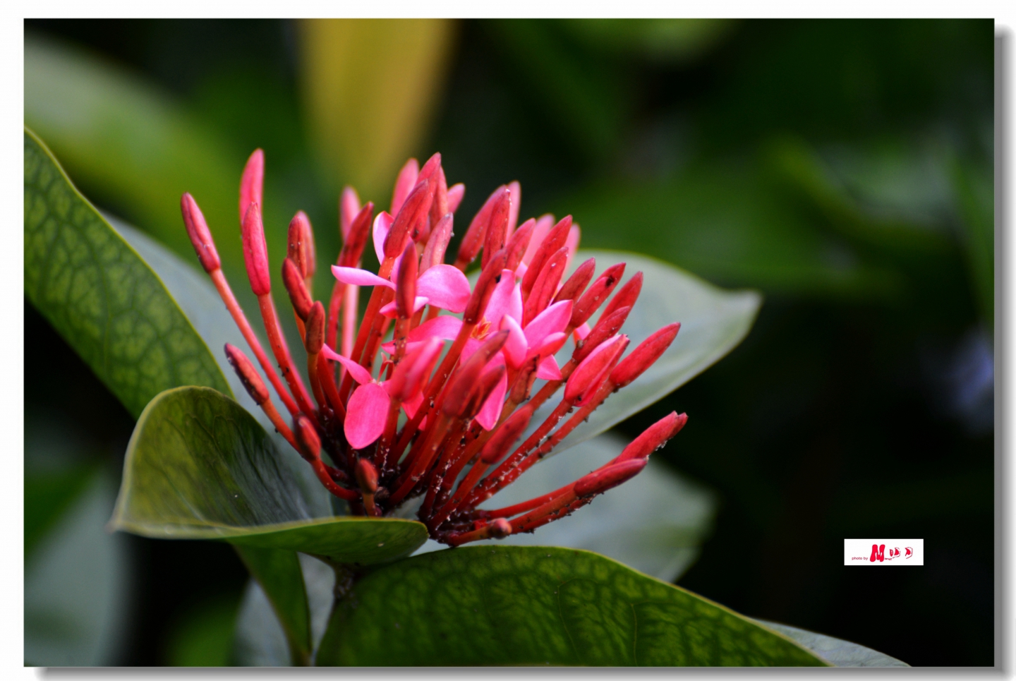 02 (318)_����.jpg