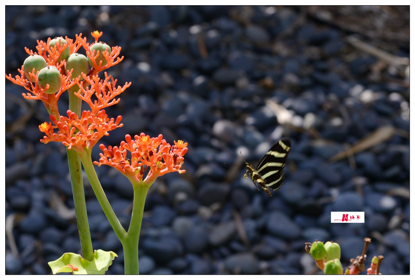 02 (212)_����.jpg