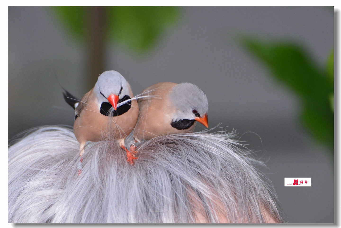 02 (314)_����.jpg