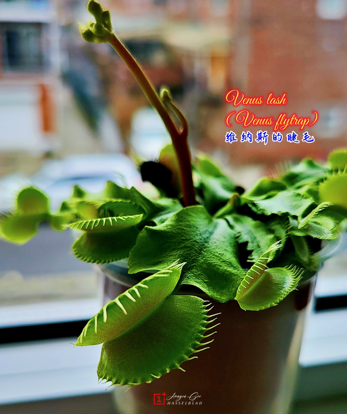 IMG20230303151936 (1)_����.jpg