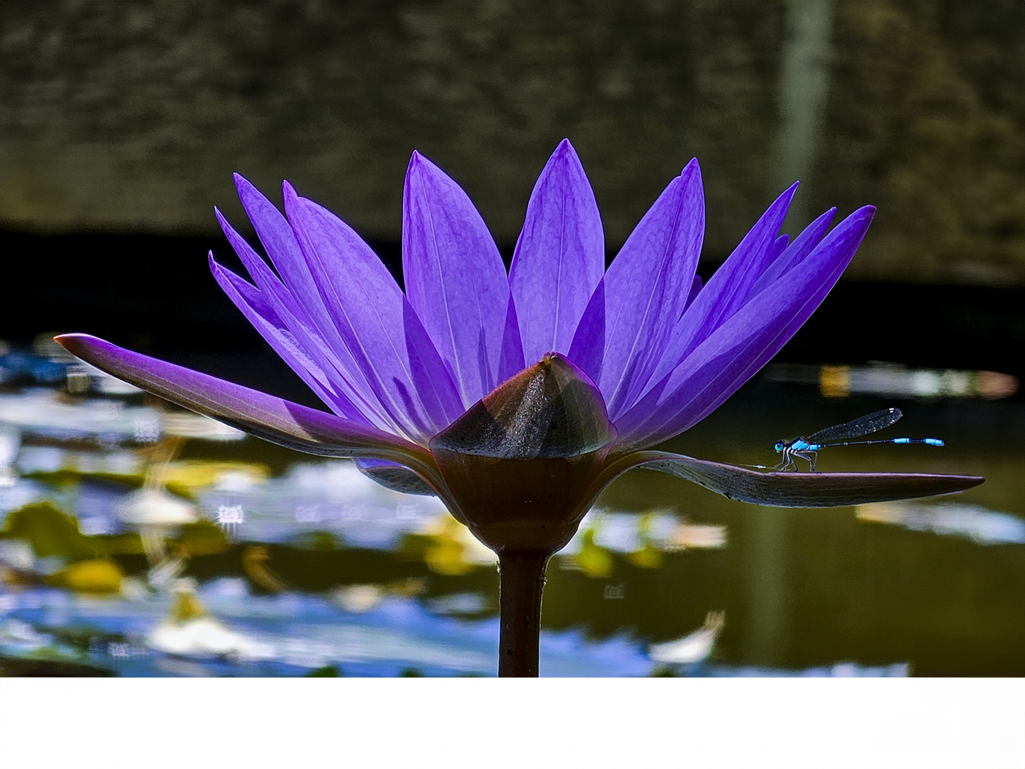 20230805_111559 ����.jpg