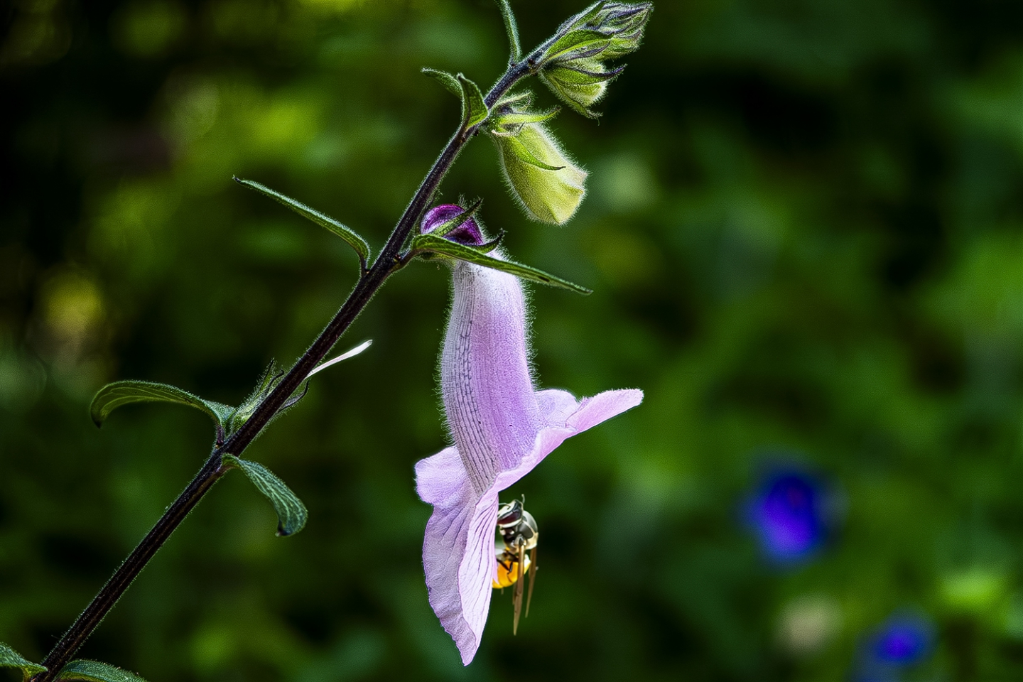 IMG_2512 ����.jpg