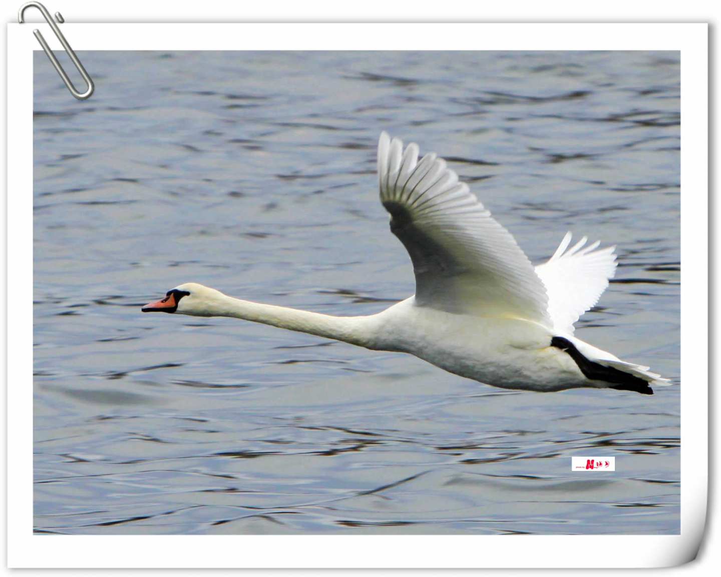 5 (150)_����.jpg