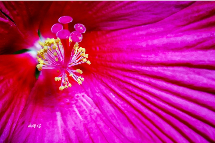 IMG_20190818_124548 ����.jpg