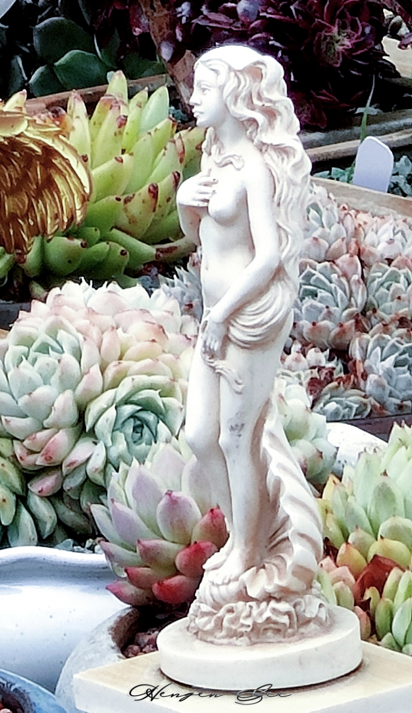 IMG20240530084637_.jpg