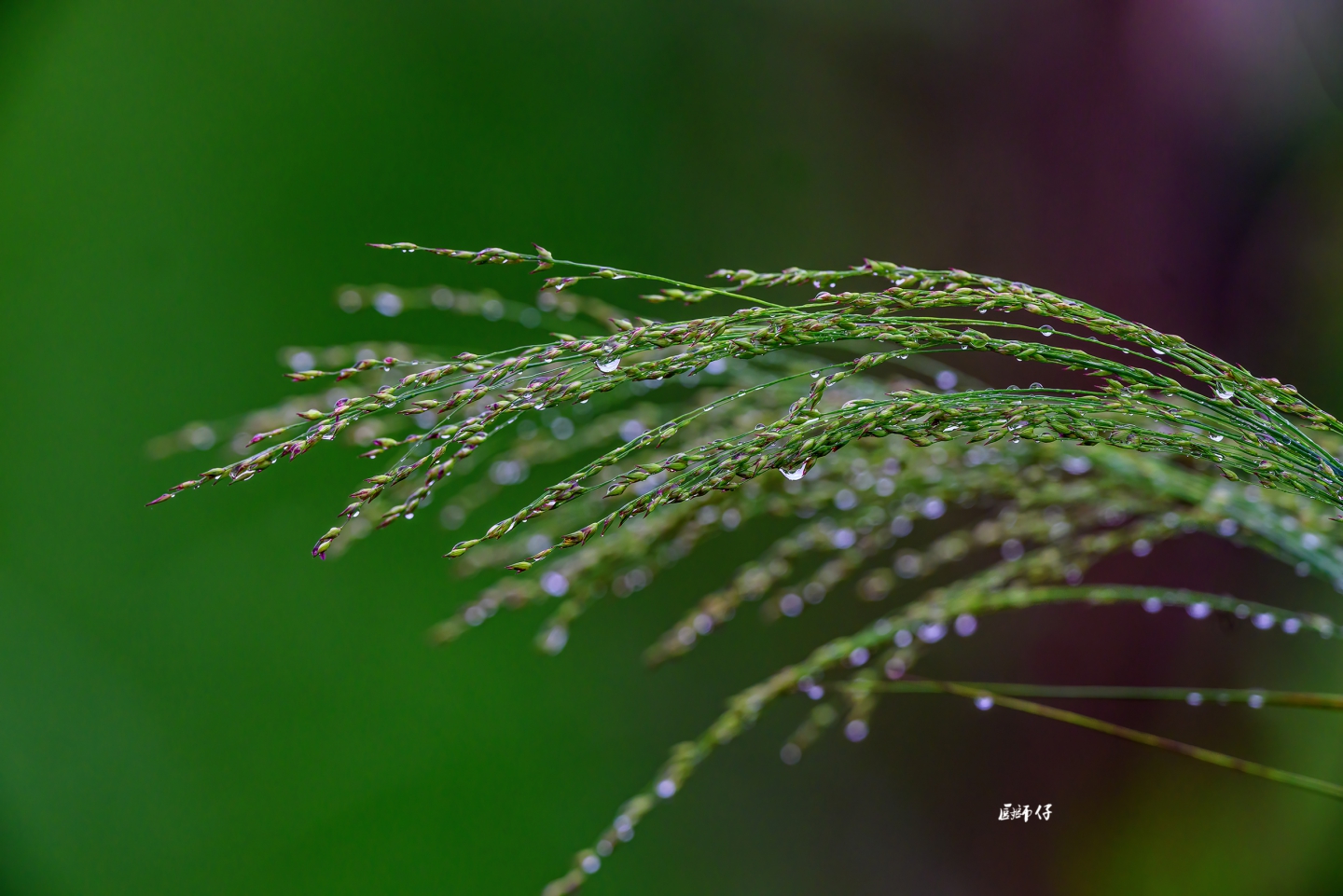 DSC_3322 .jpg