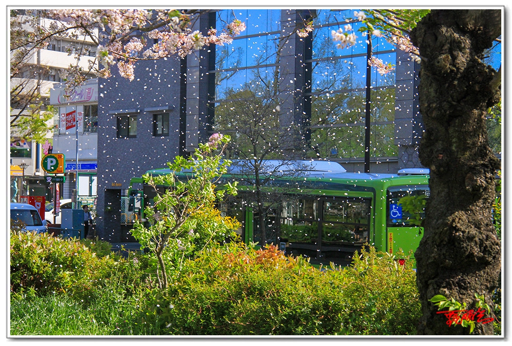 sii20140833.jpg