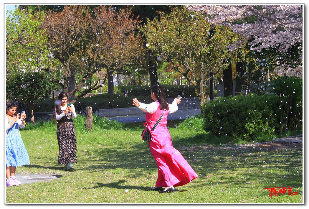 sii20140831.jpg