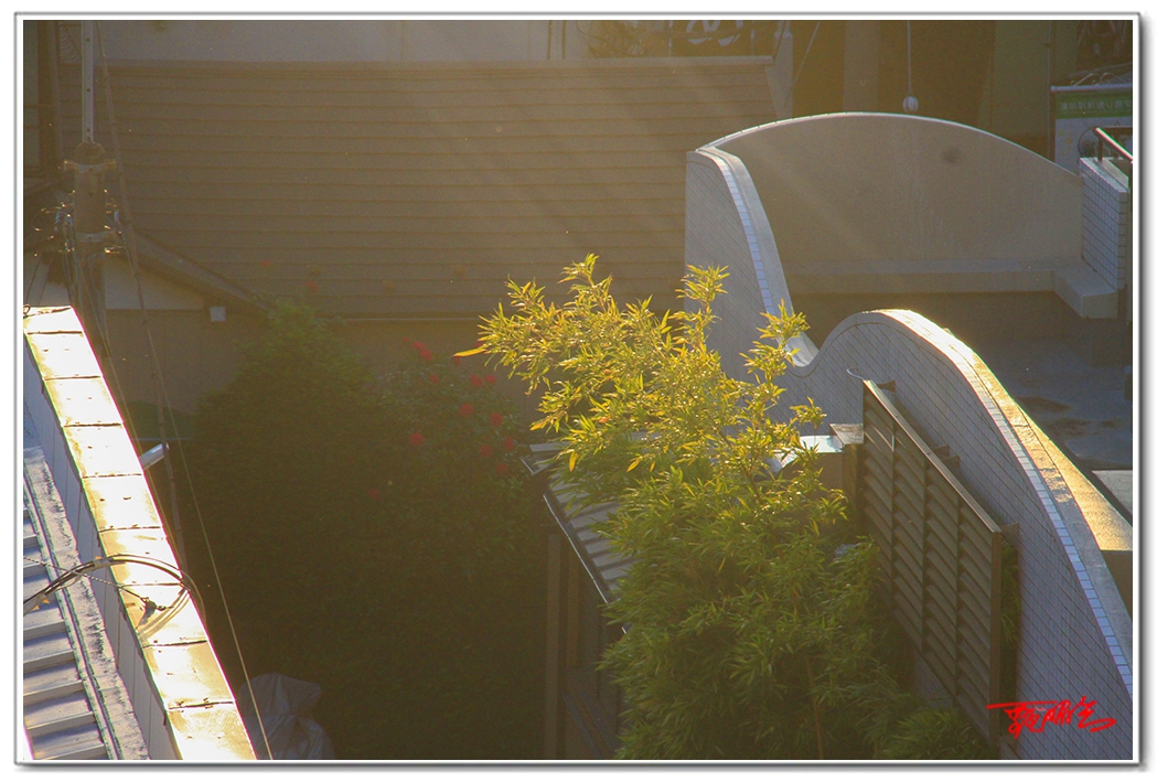 sii20140919.jpg