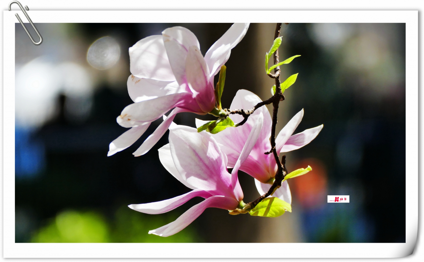 L1310488_副本.jpg