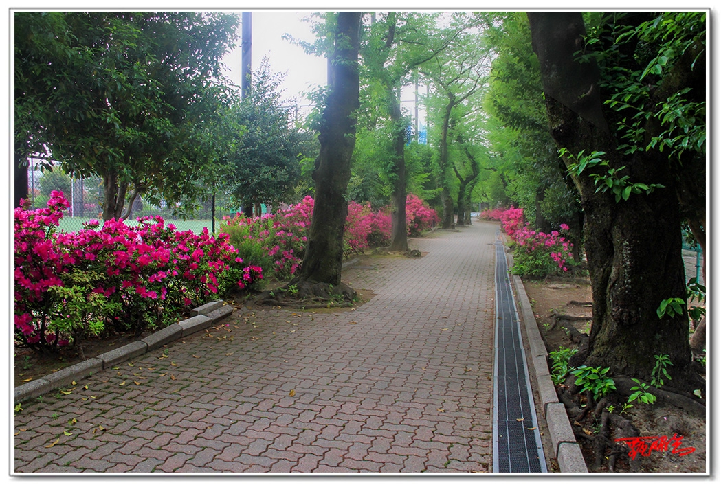 sii20140897.jpg