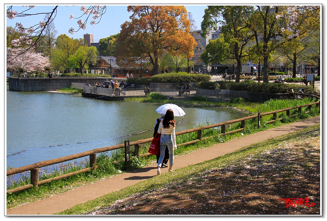 sii2014093769pg.jpg