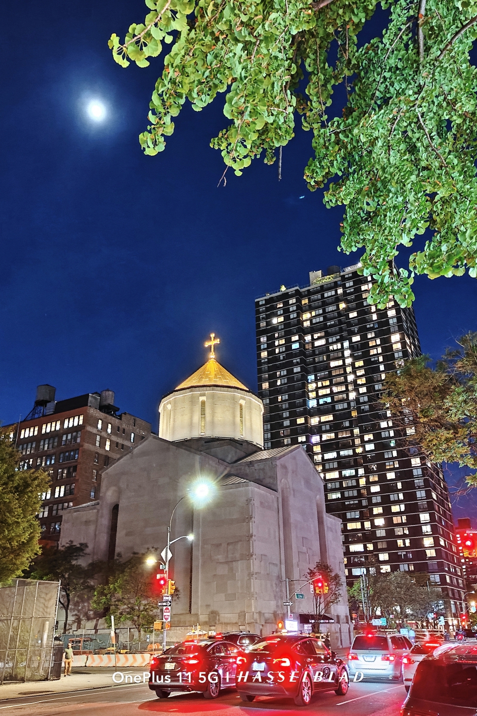 IMG_20250512_164917.jpg