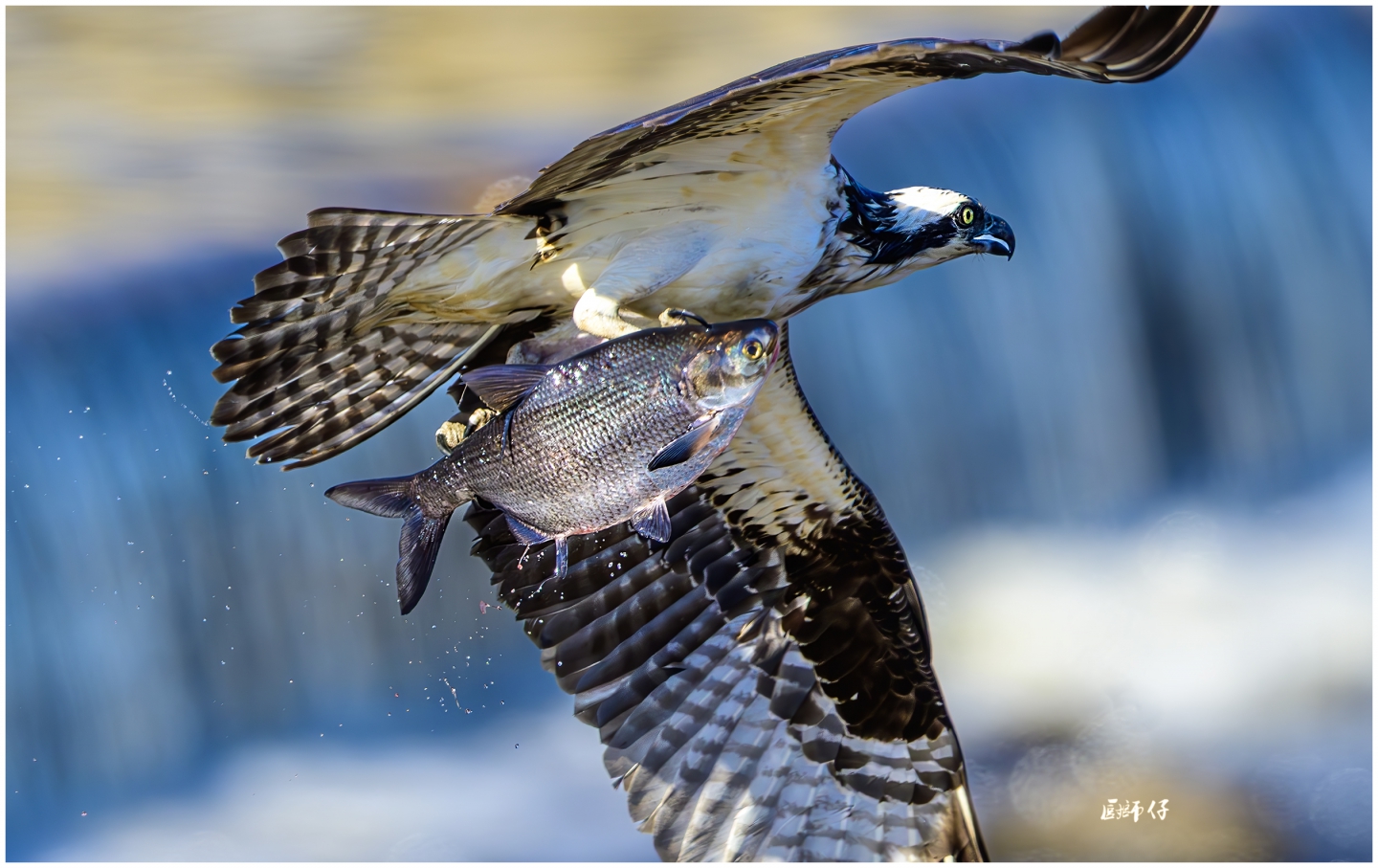 DSC_2914-ǿ-NR.jpg