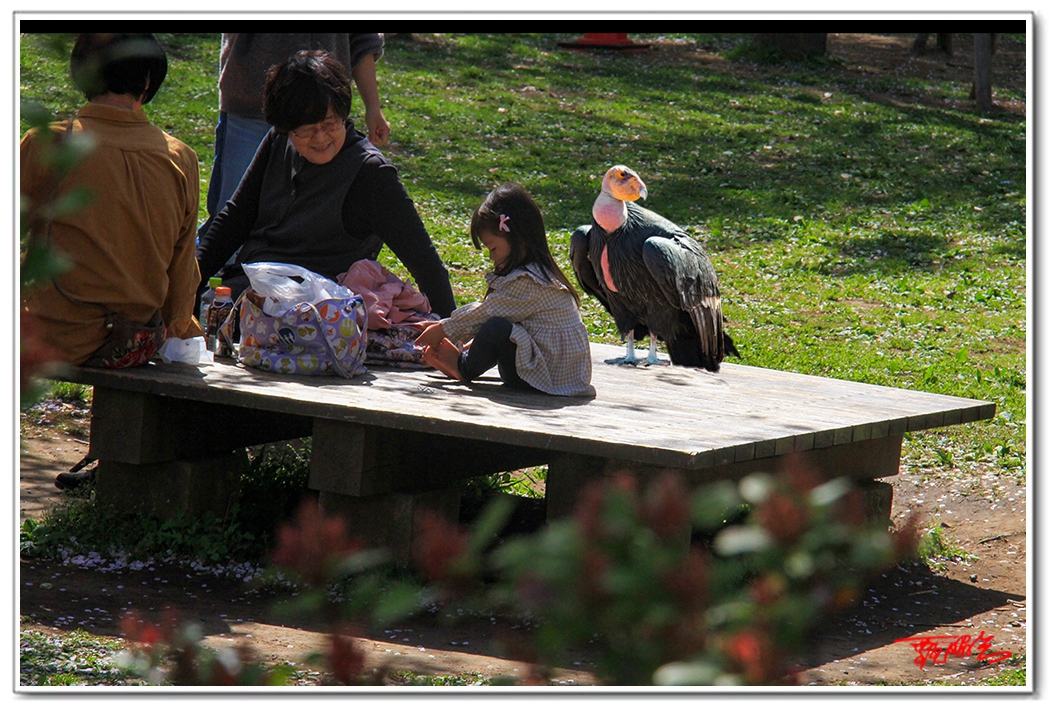 sii2014093773.jpg