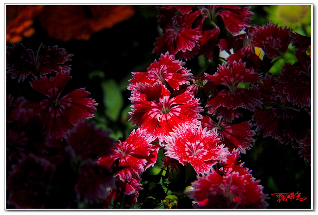 sii201409362.jpg