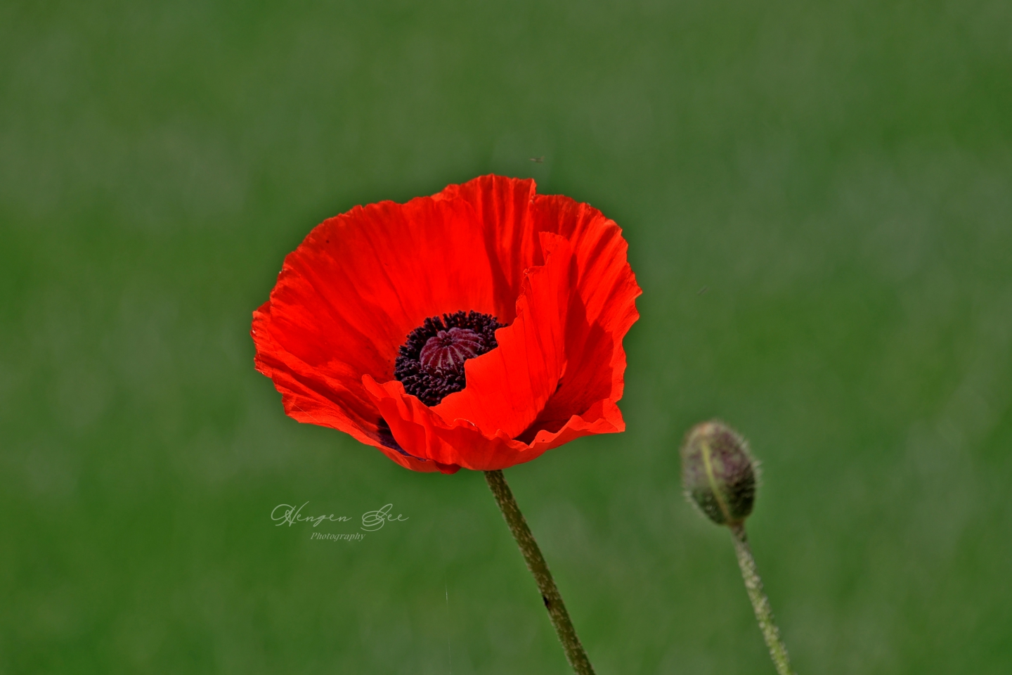 IMG_4753_.jpg