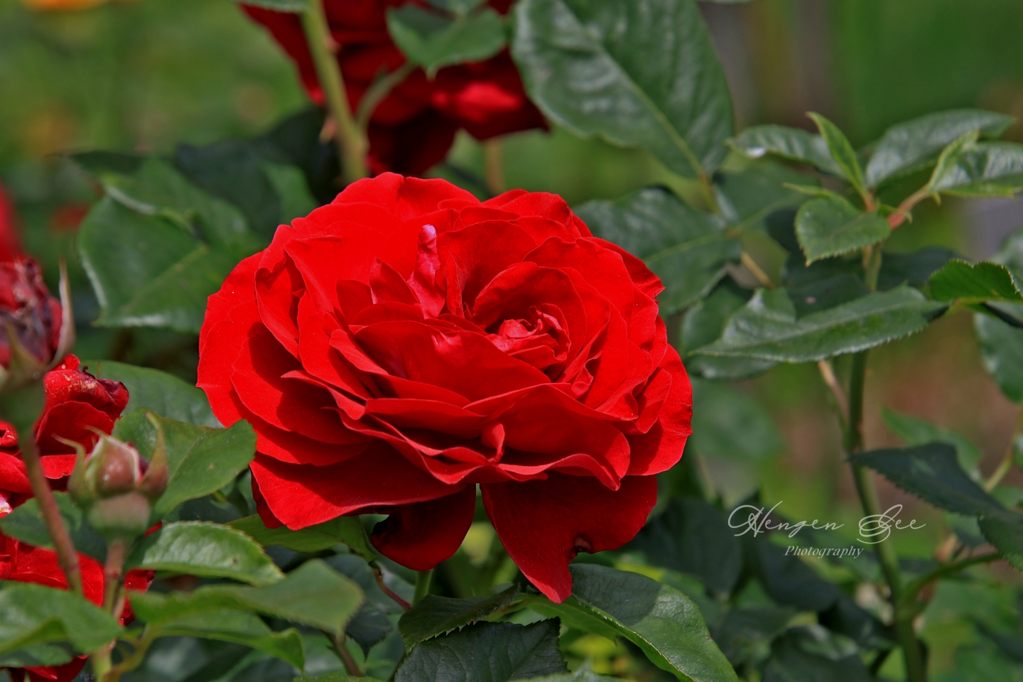 IMG_4751_.jpg