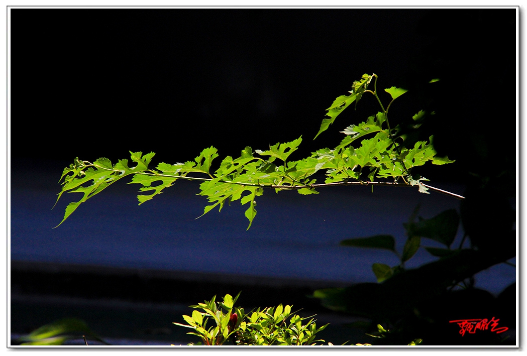 sii20140925.jpg