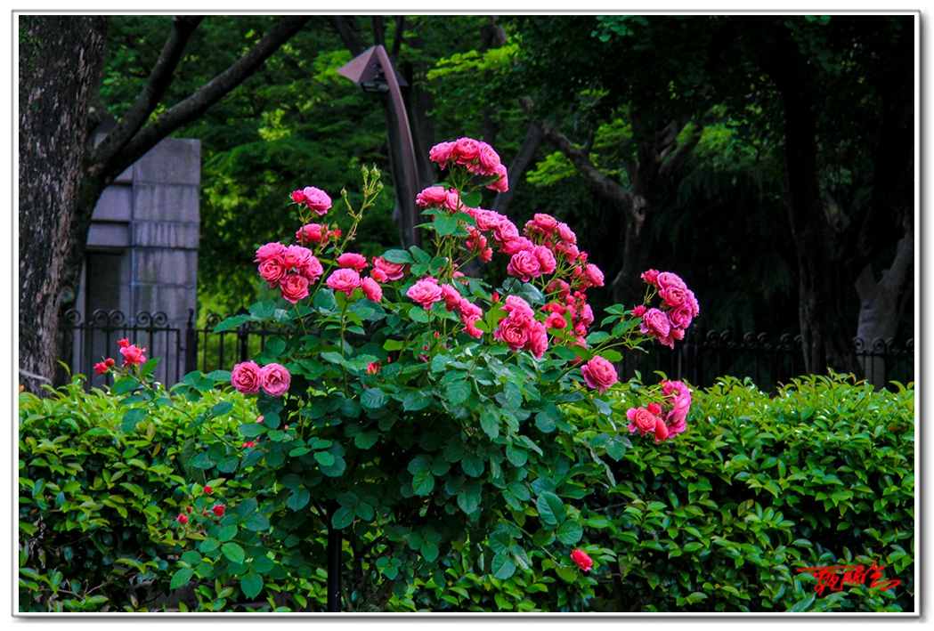 sii2014093899.jpg