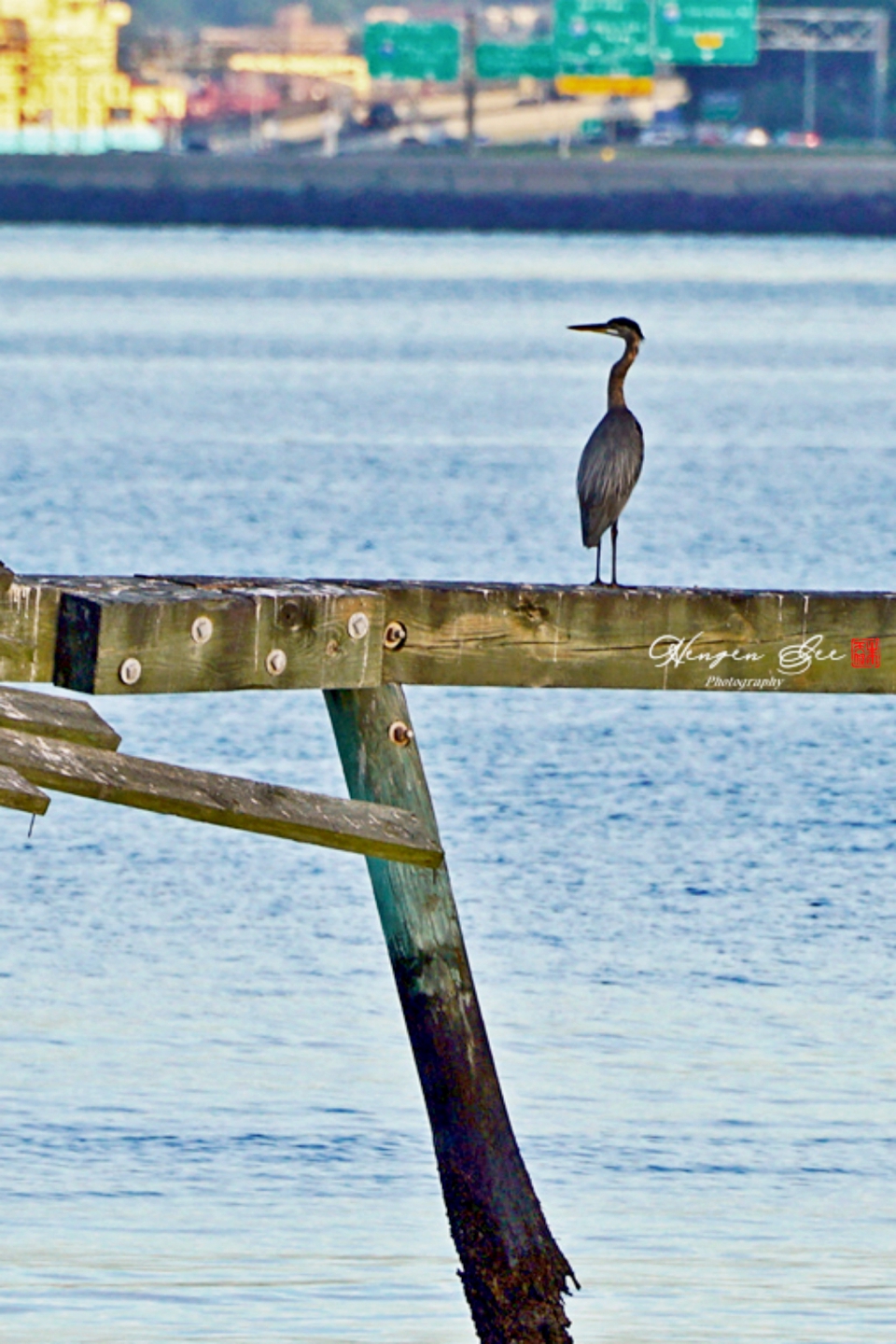 DSC09611___.jpg