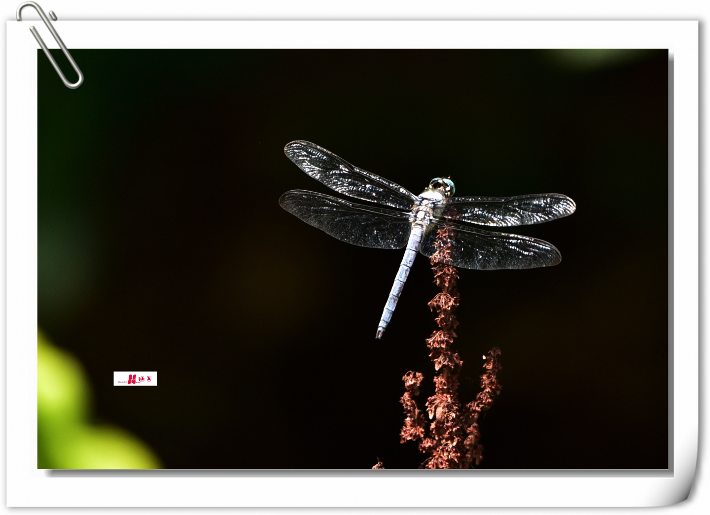 DSC_8192_.jpg