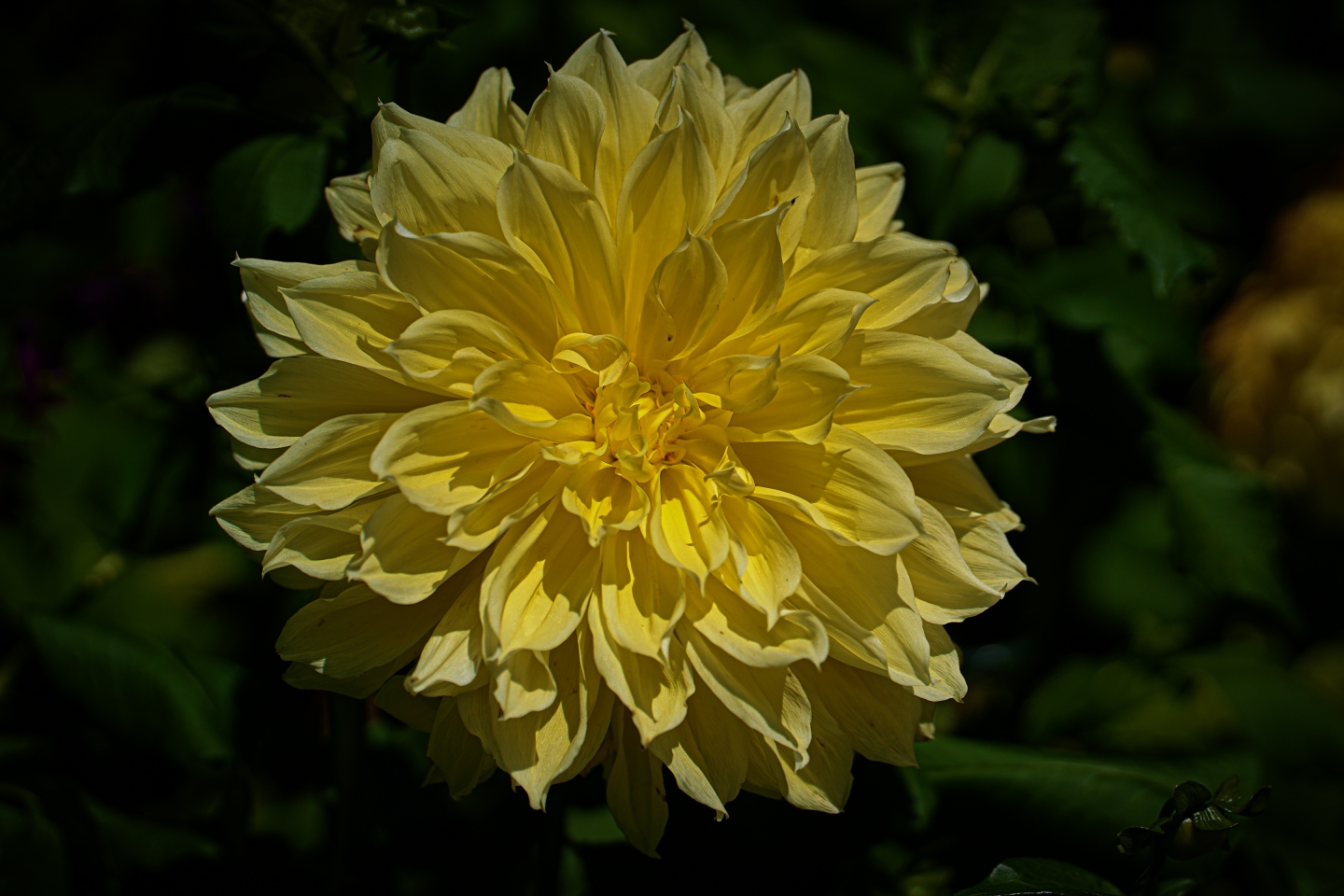 _DSC6907.jpg