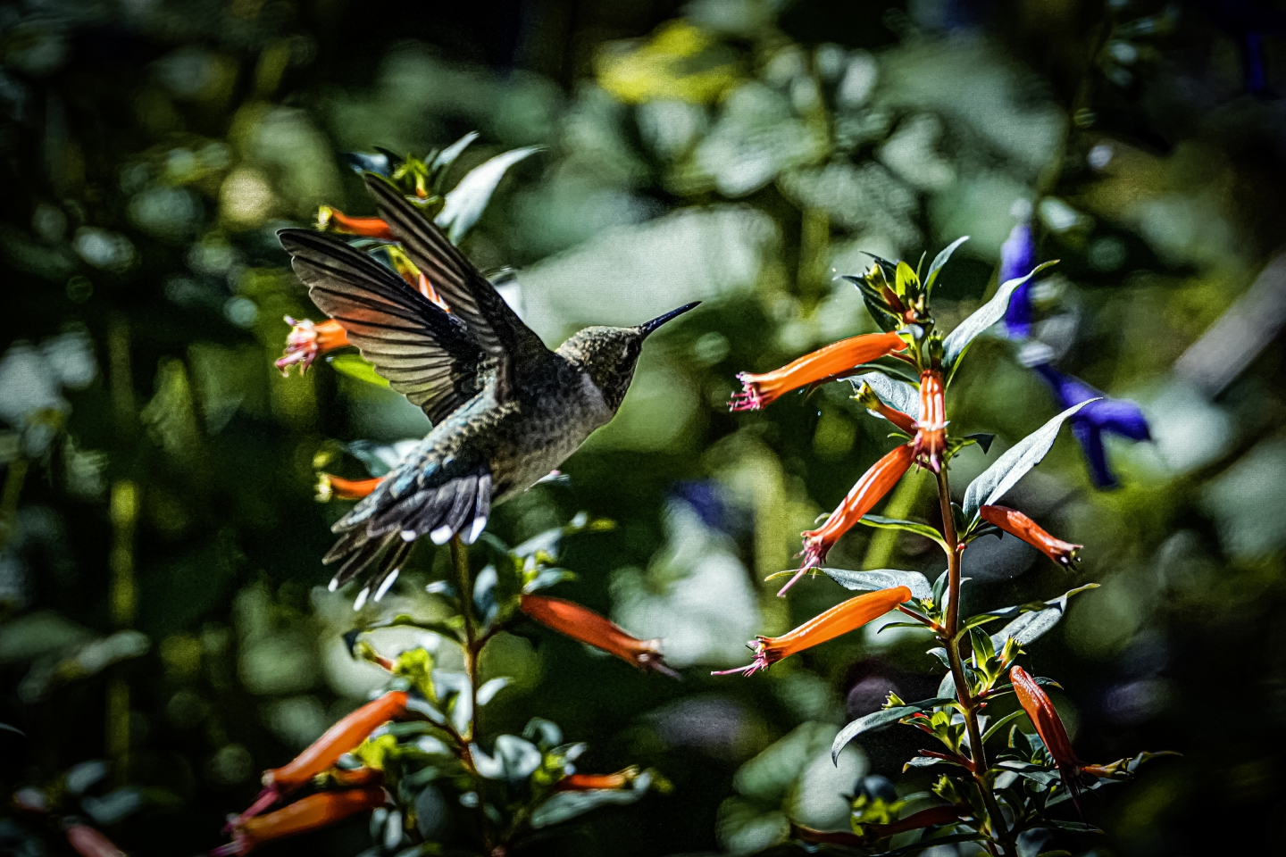 _DSC8795.jpg