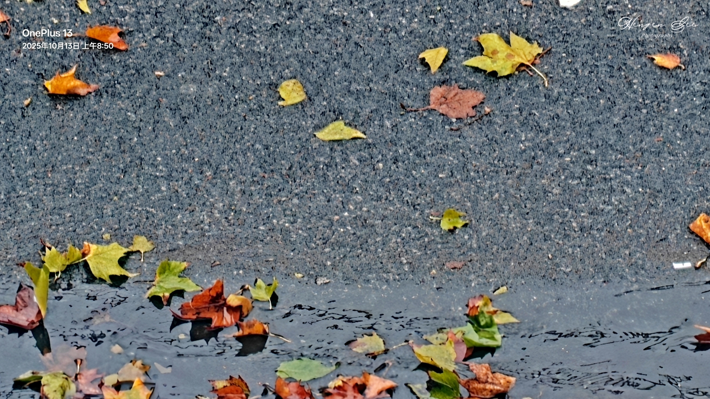 IMG20251013085001_.jpg