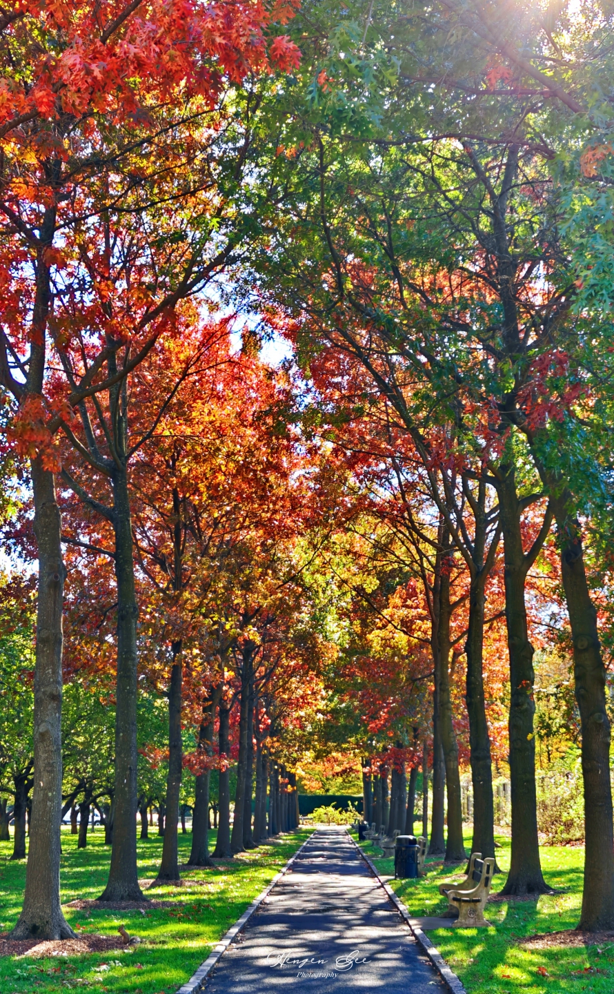 IMG20251104130744 (1)_.jpg