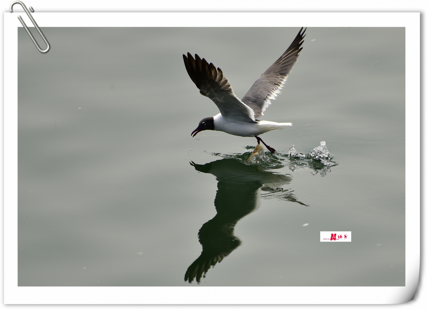 _ICE6413_����.jpg