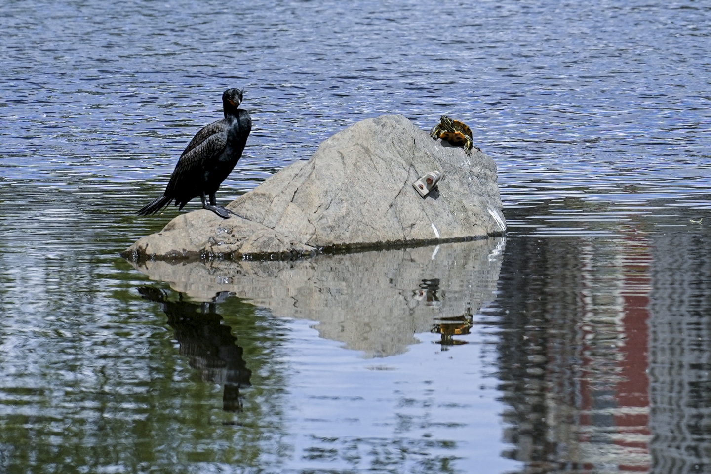 _DSC8547.jpg