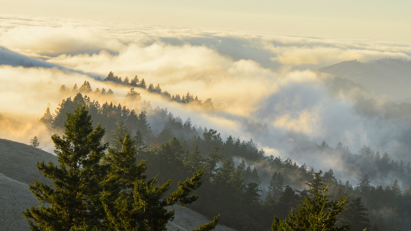 2026_08_11 _1005.JPG
