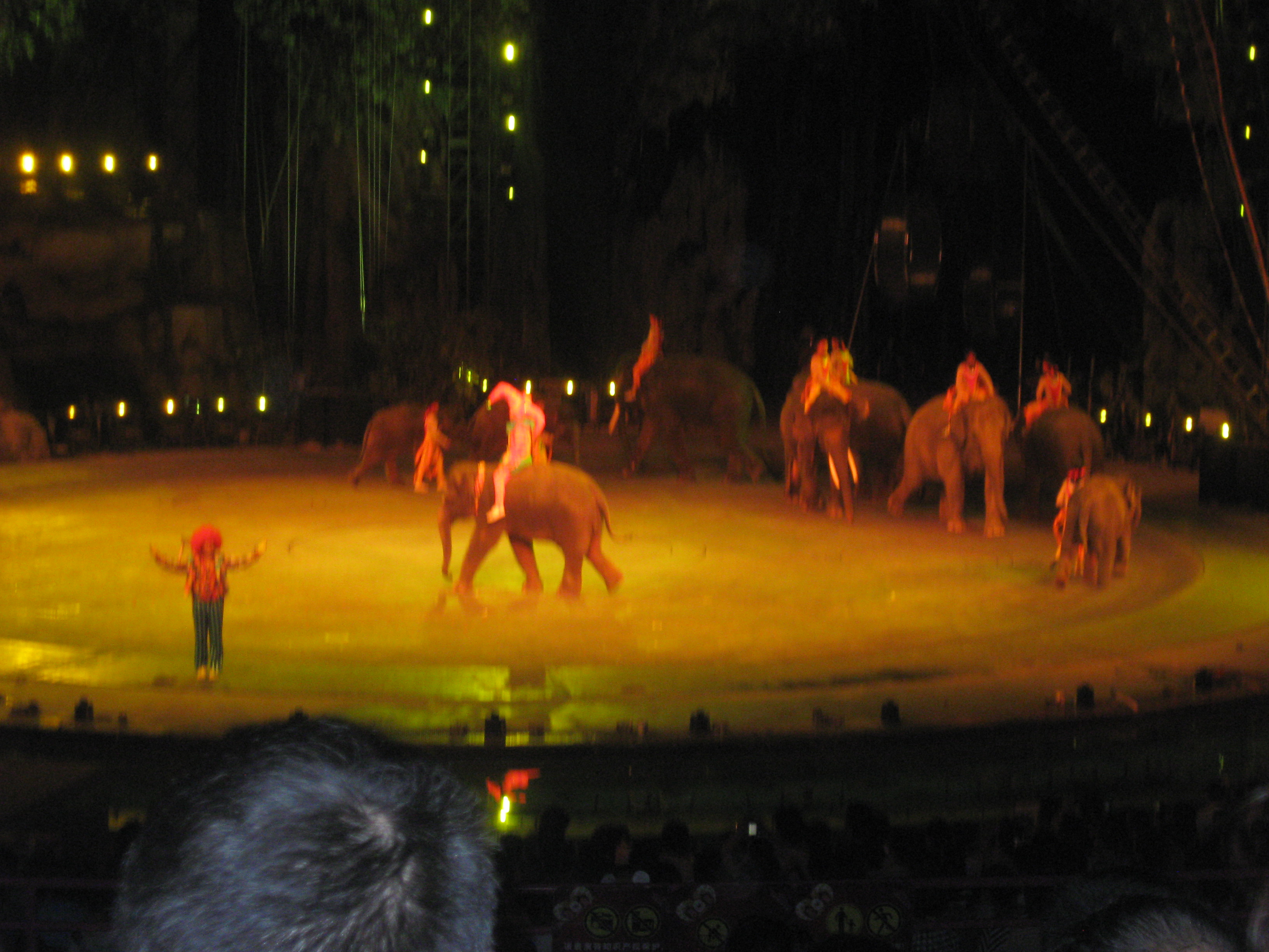 IMG_1082.jpg