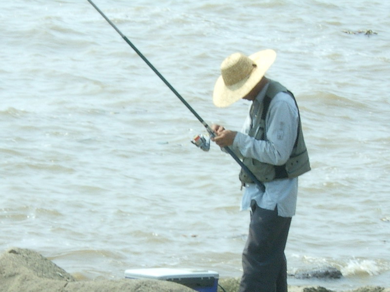 DCAM0264.jpg